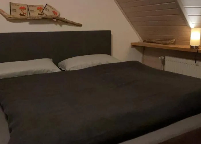 Test シュラートミンク