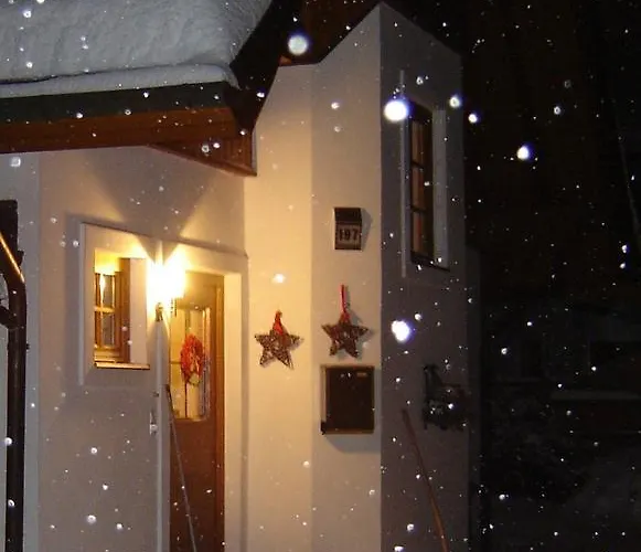 Test シュラートミンク