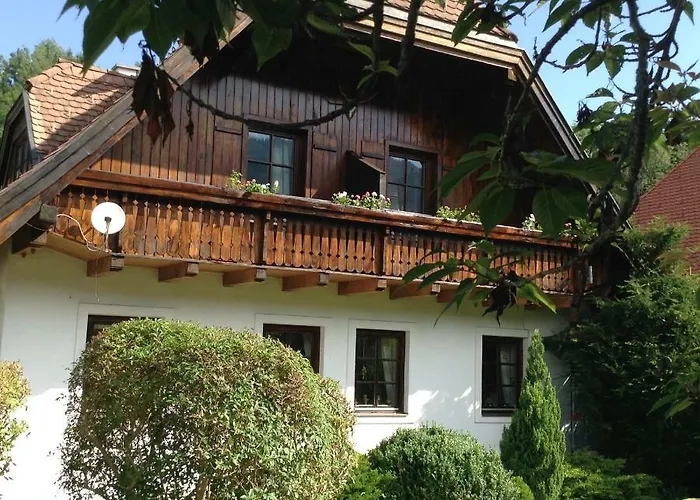 Test * シュラートミンク